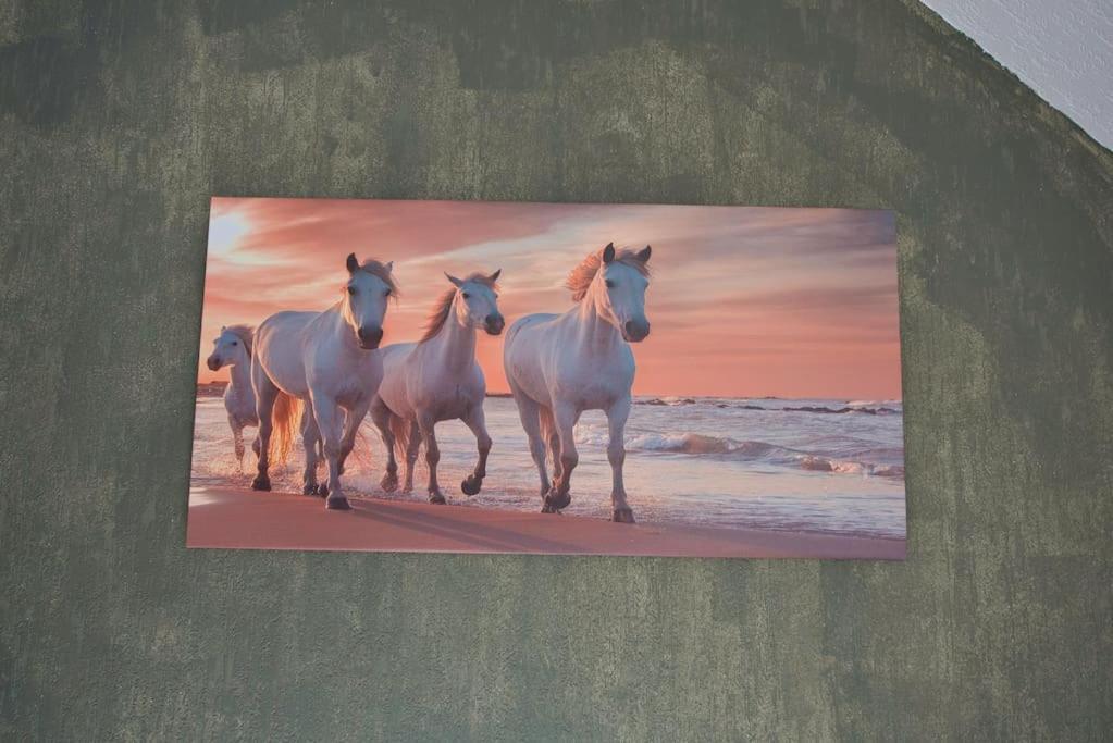 Le Fer A Cheval 4 Pers. Confort Plage อูลกัท ภายนอก รูปภาพ